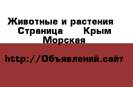  Животные и растения - Страница 14 . Крым,Морская